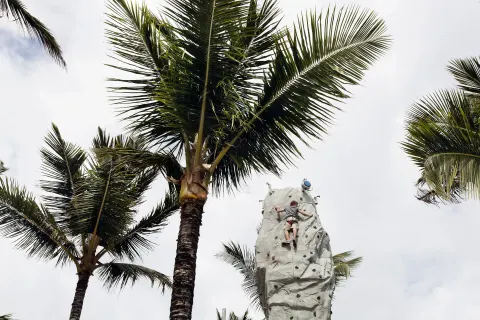 A guest climbs an outdoor rock wall among tall palms at Occidental Caribe.