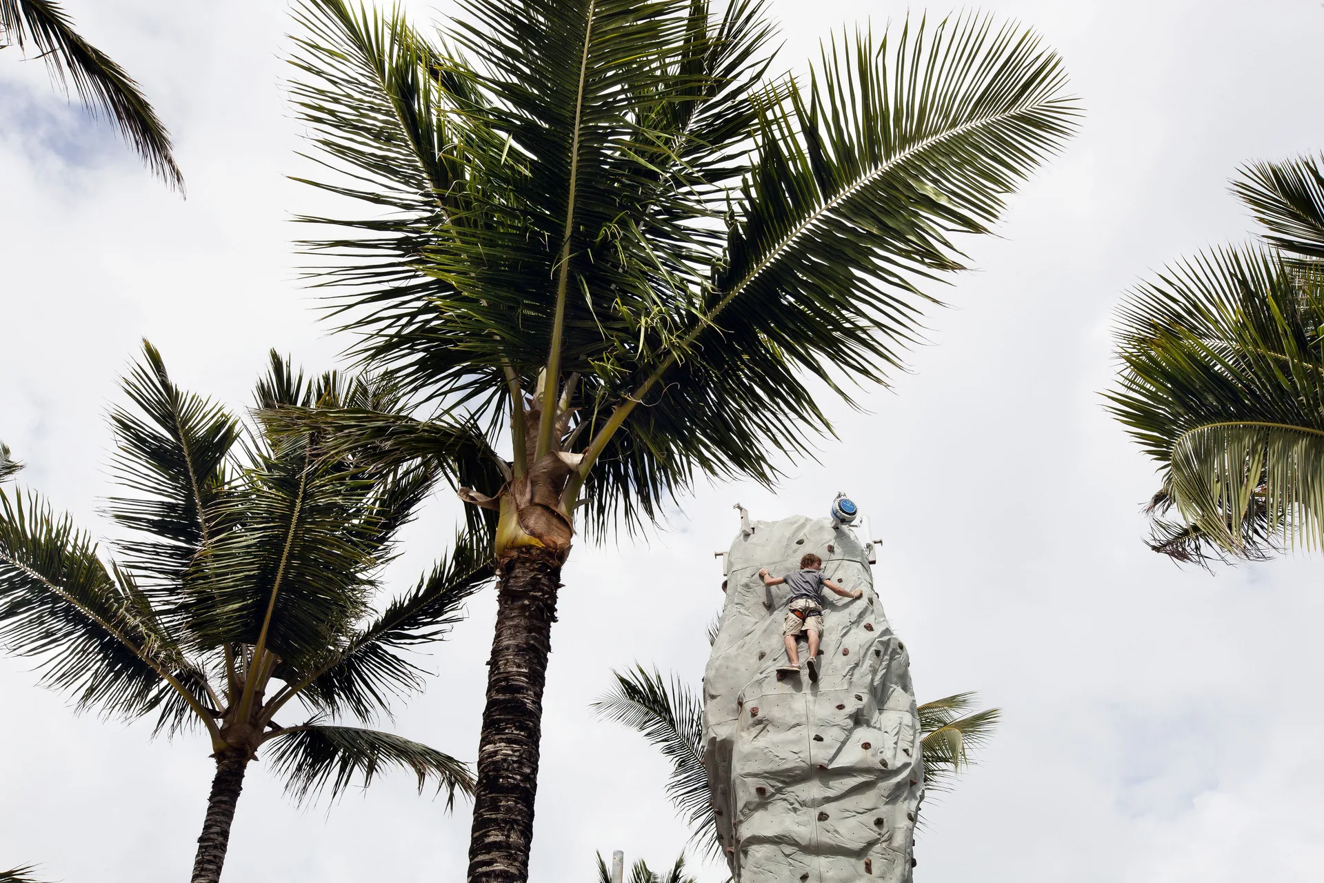 A guest climbs an outdoor rock wall among tall palms at Occidental Caribe.