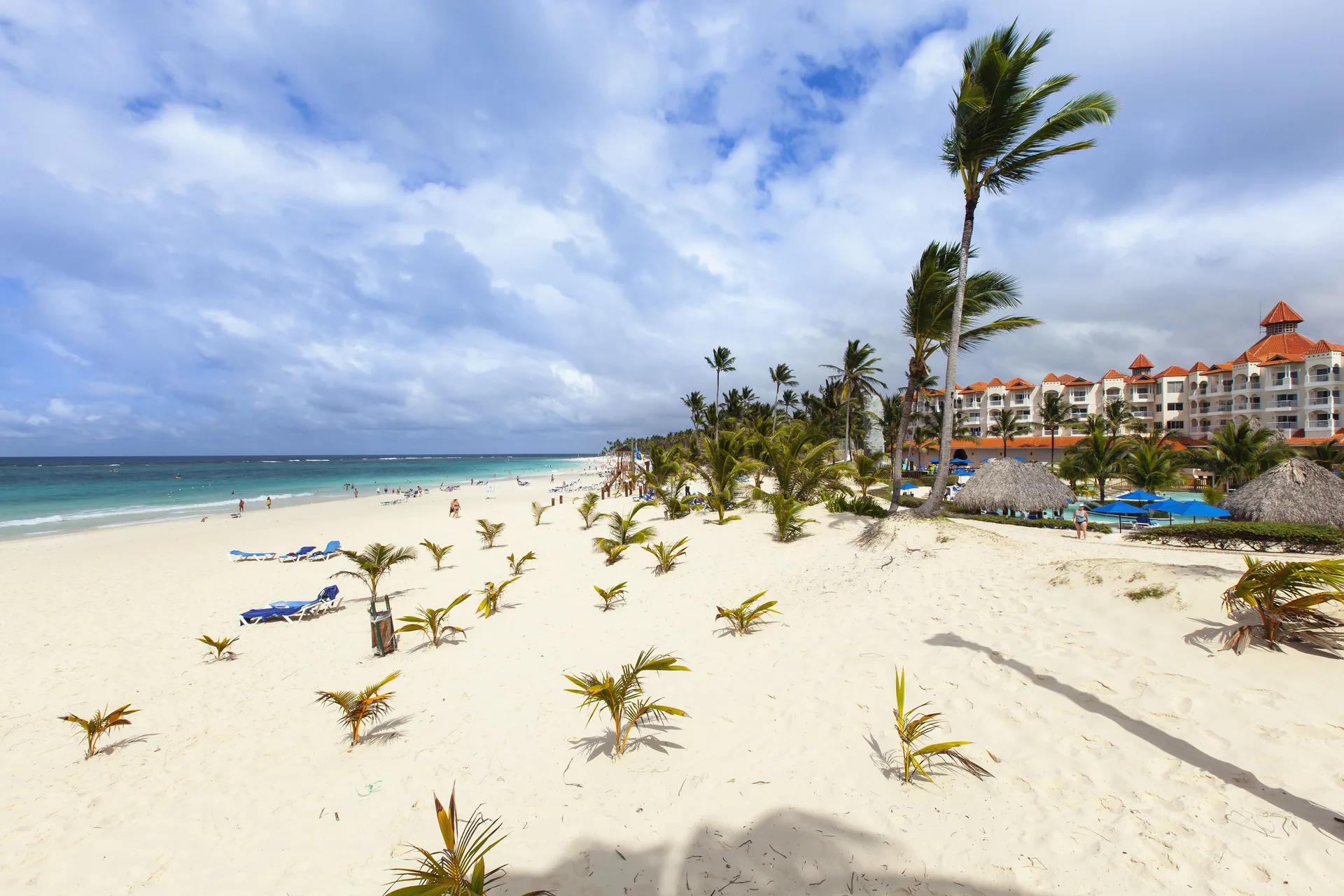 White sand beach with palms and resort buildings at Occidental Caribe.