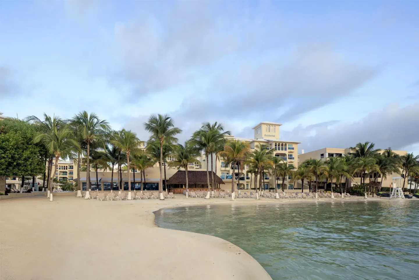 Curved sandy beach, palm trees, and resort facade at Occidental Costa Cancún.