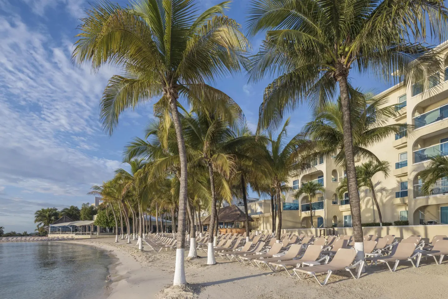 Beach loungers under tall palm trees beside the resort building at Occidental Costa Cancún.