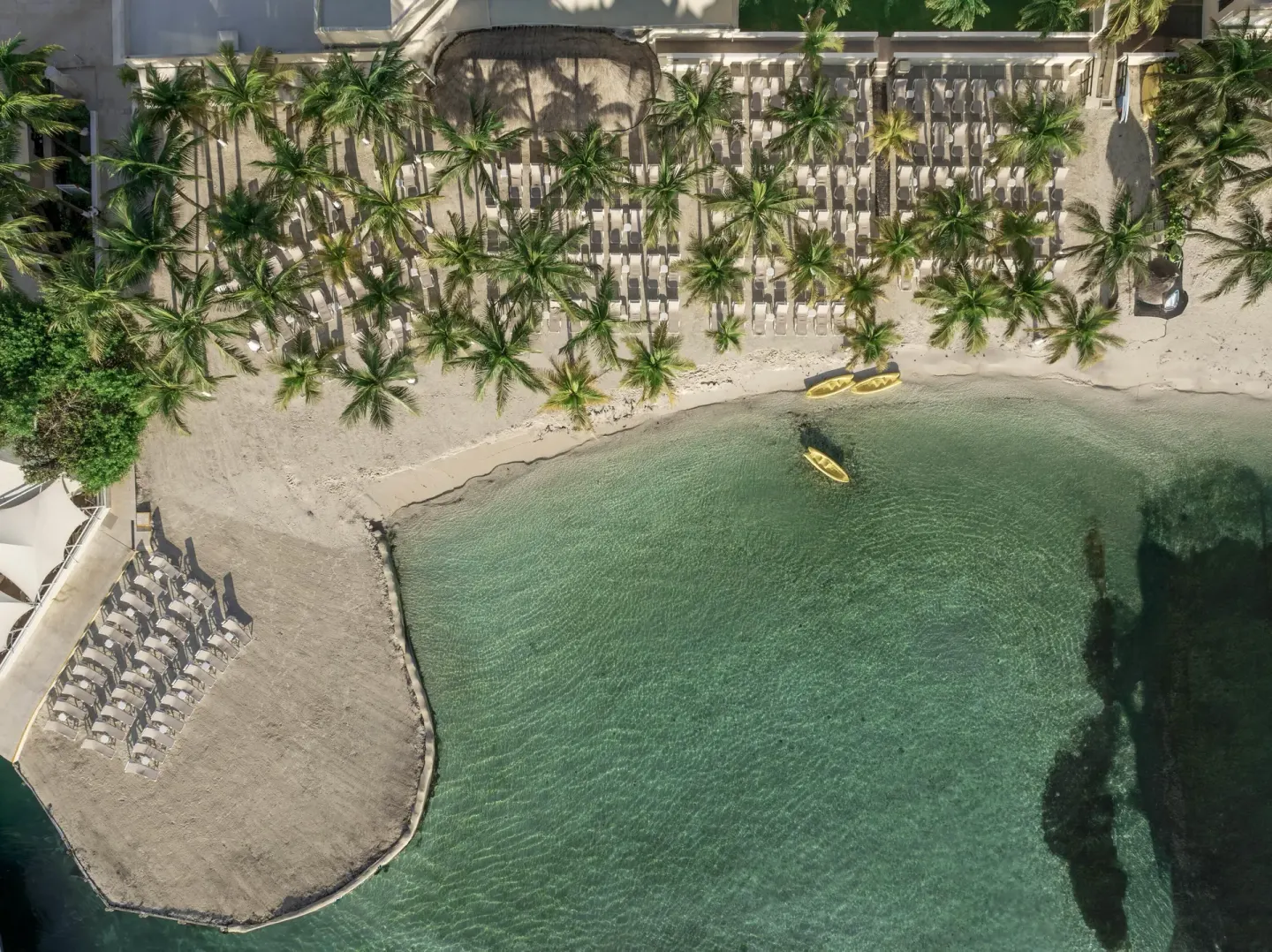 Aerial view of the beach, palms, loungers, and clear water at Occidental Costa Cancún.