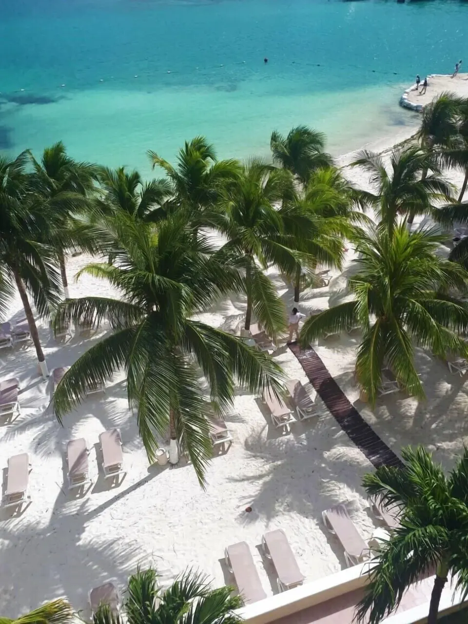 Palm-lined beach with loungers and turquoise water at Occidental Costa Cancún.