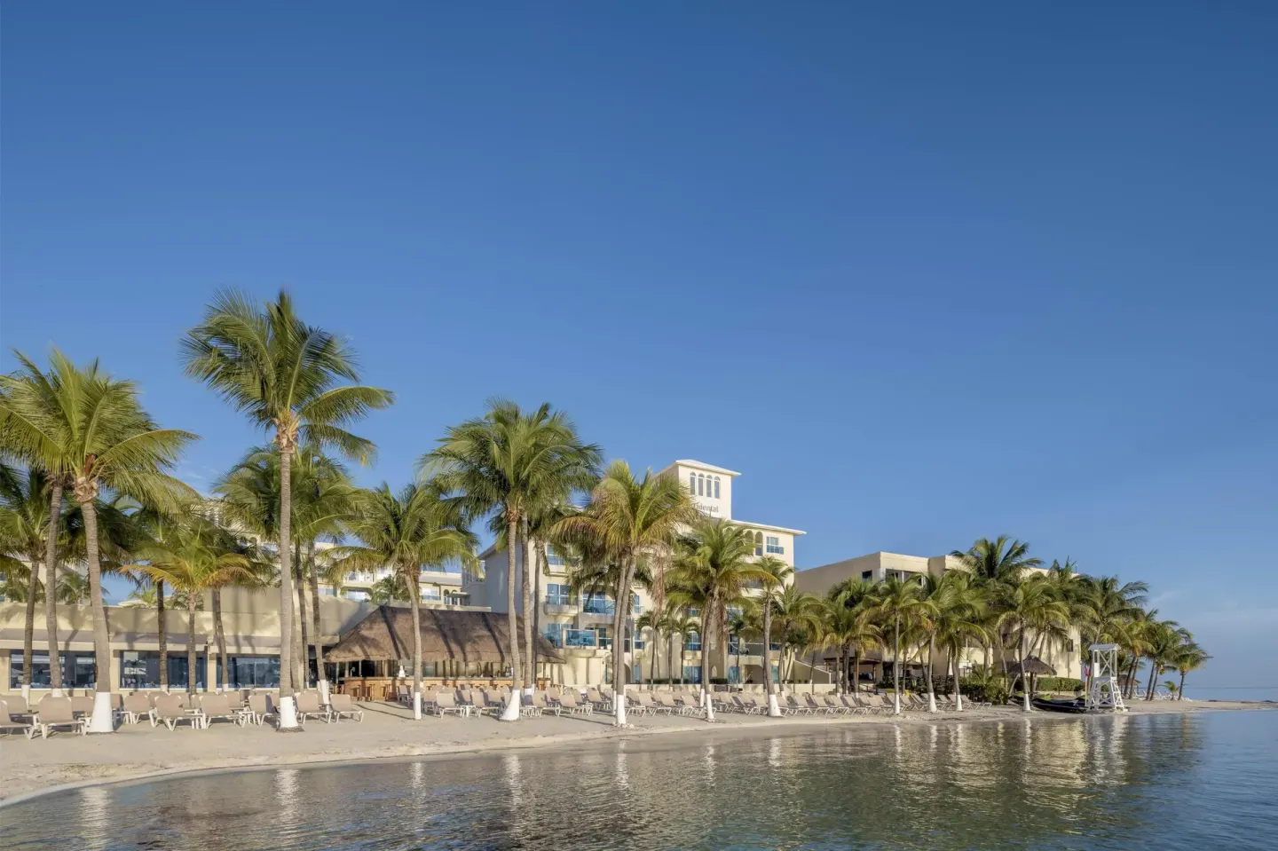 Palm-lined beach with loungers and resort buildings at Occidental Costa Cancún.