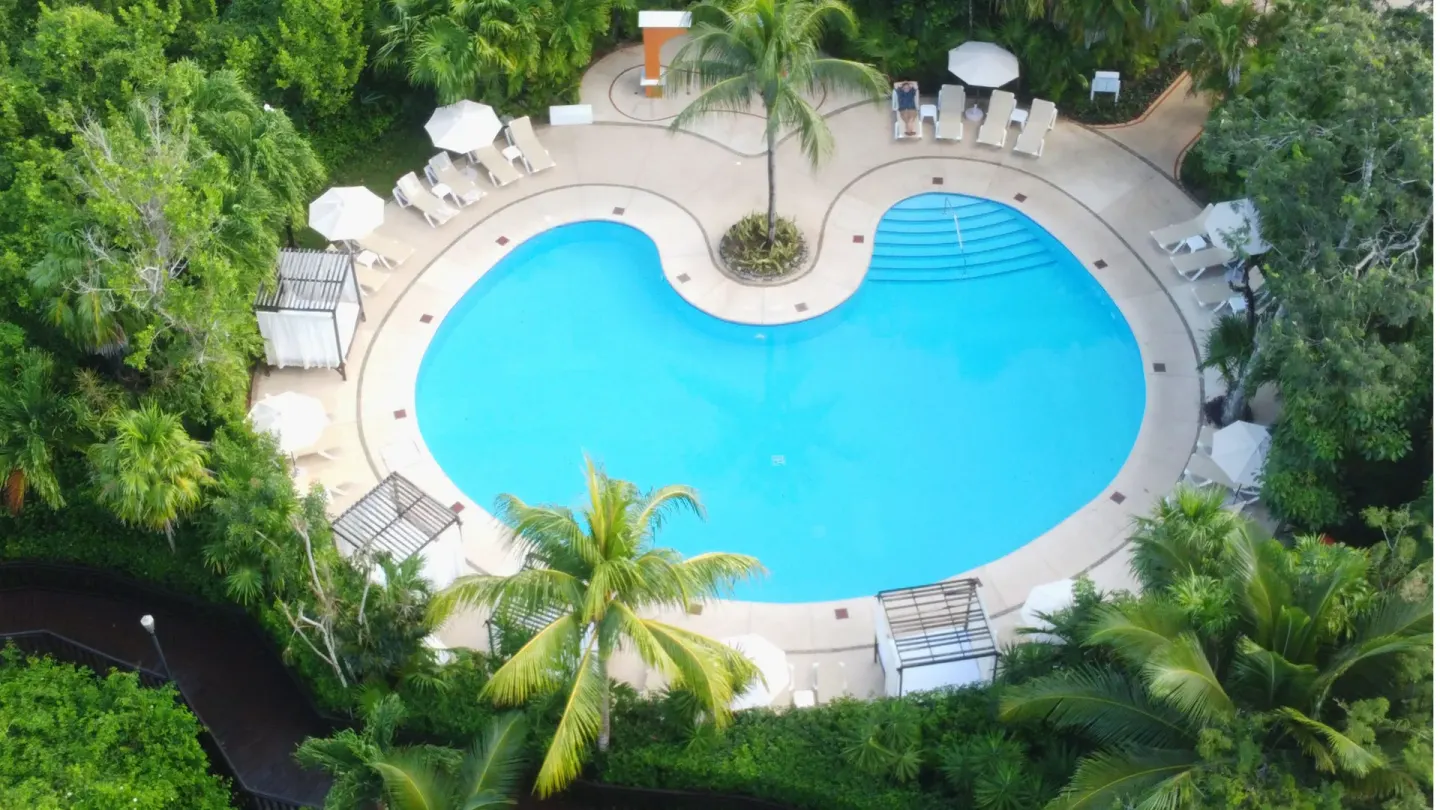 Aerial view of a quiet curved pool surrounded by palms at Occidental Cozumel.