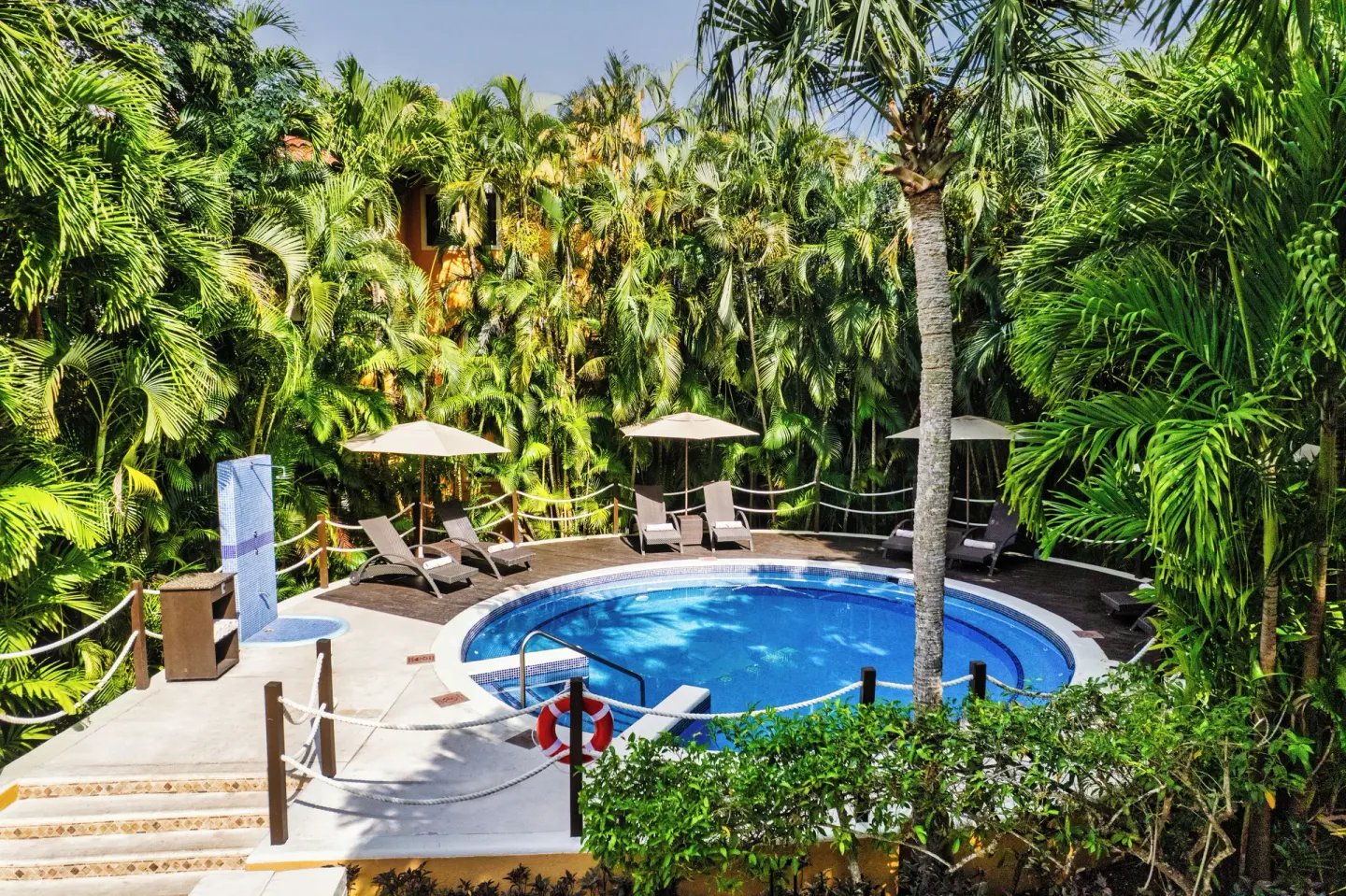 Small round pool surrounded by palms and loungers at Occidental Cozumel.