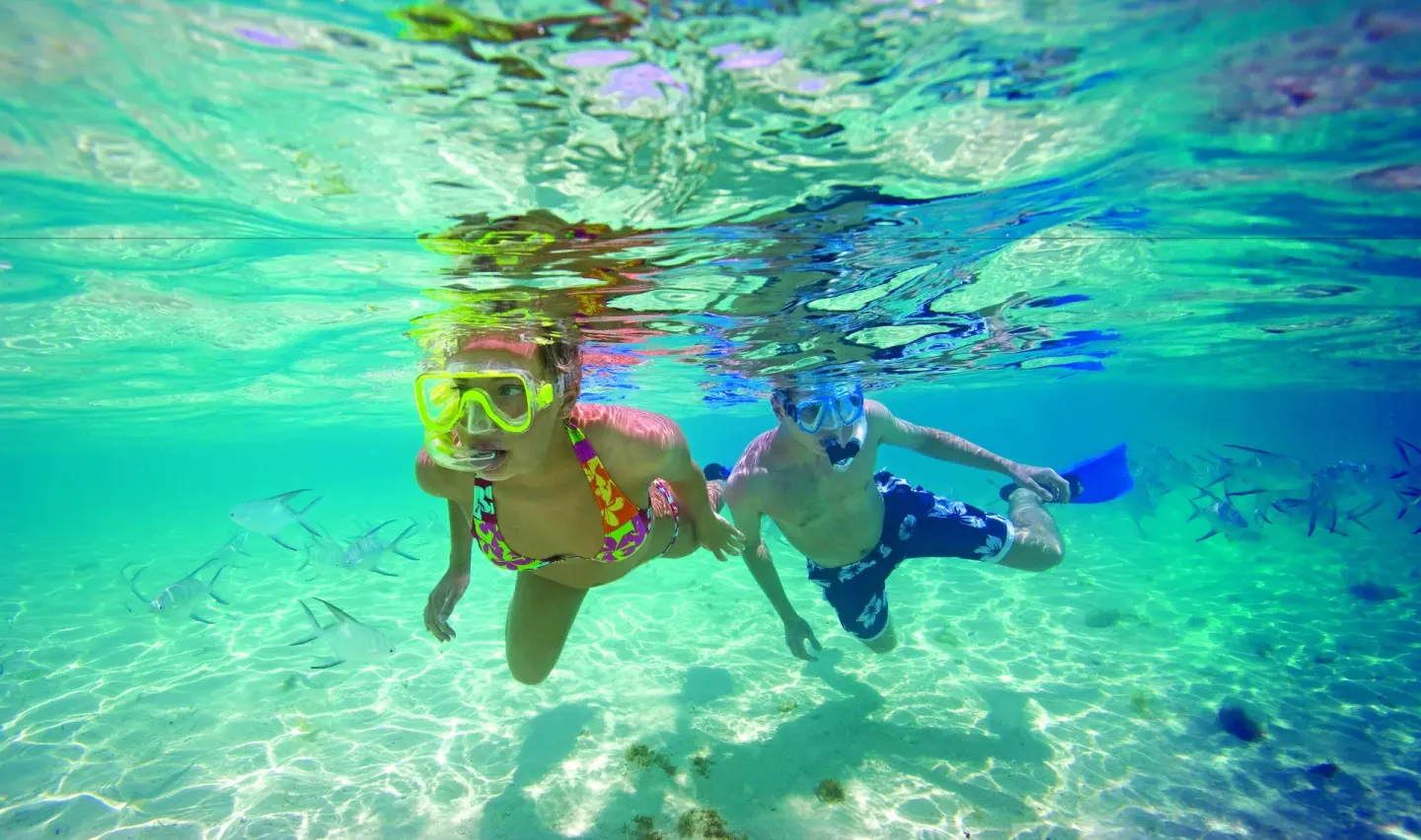 Two snorkelers swim over clear shallow water near Occidental Cozumel.