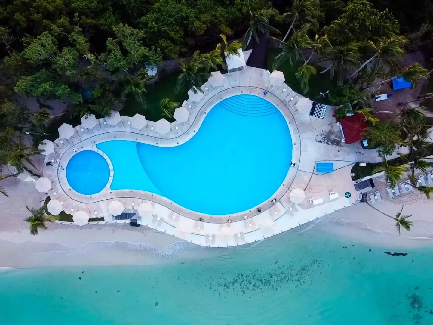 Top-down aerial view of the beachfront pool and surrounding loungers at Occidental Cozumel.