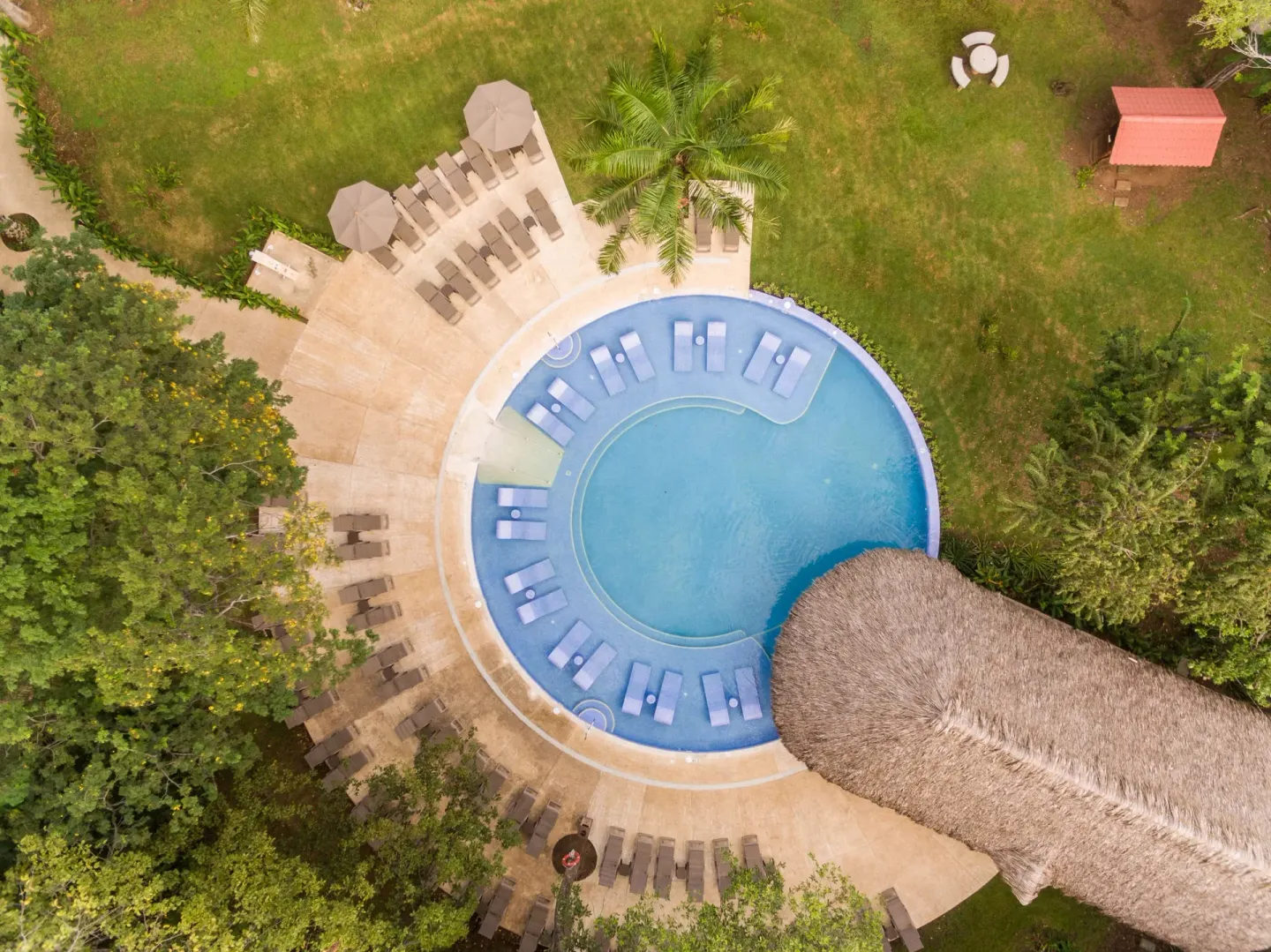 Aerial view of circular pool with loungers at Occidental Papagayo.