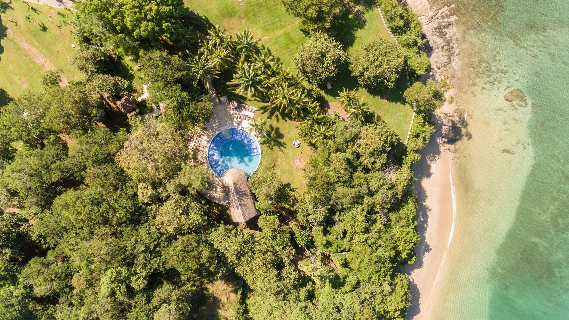 Aerial view of the beachside round pool and trees at Occidental Papagayo.
