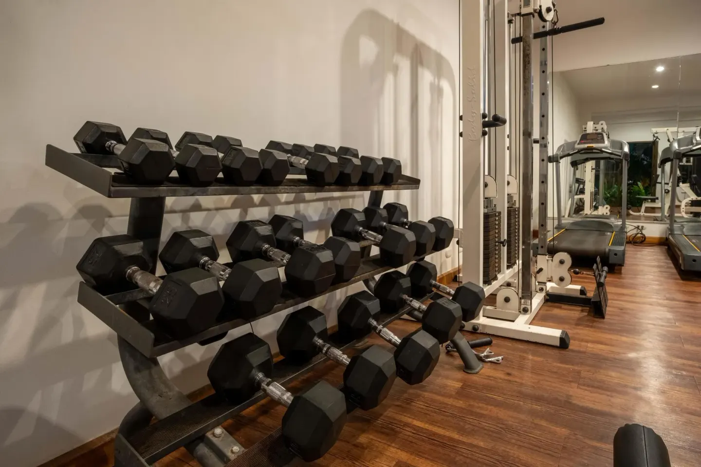 Dumbbell rack beside treadmills and cable equipment in the gym at Occidental Papagayo.