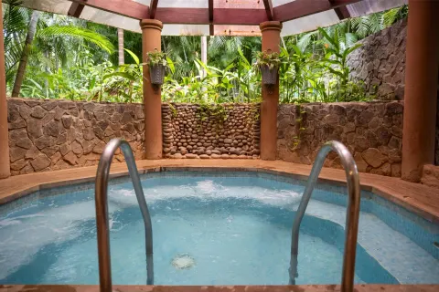 Indoor whirlpool with stone walls and tropical plants at Occidental Papagayo.