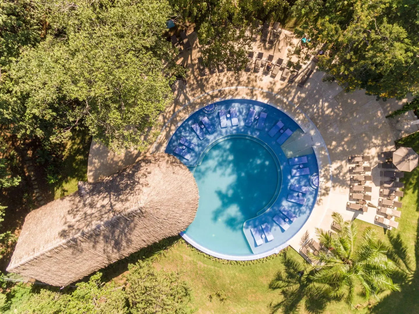 Overhead view of round pool, thatched roof, and shaded loungers at Occidental Papagayo.