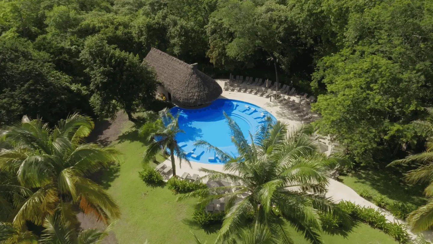 Aerial view of the pool surrounded by palms and forest at Occidental Papagayo.