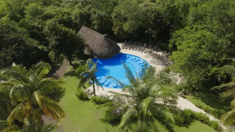 Aerial view of the pool surrounded by palms and forest at Occidental Papagayo.
