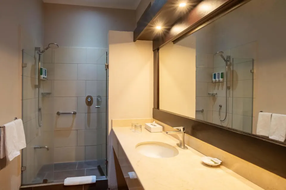 Premium Level Luxury bathroom with vanity and glass shower at Occidental Papagayo.