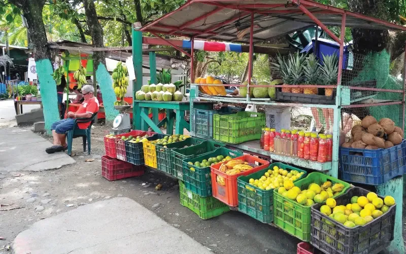 Ericka S Fruit Stand 5 Min Drive