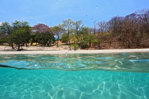 Playa Penca 10 Min Drive