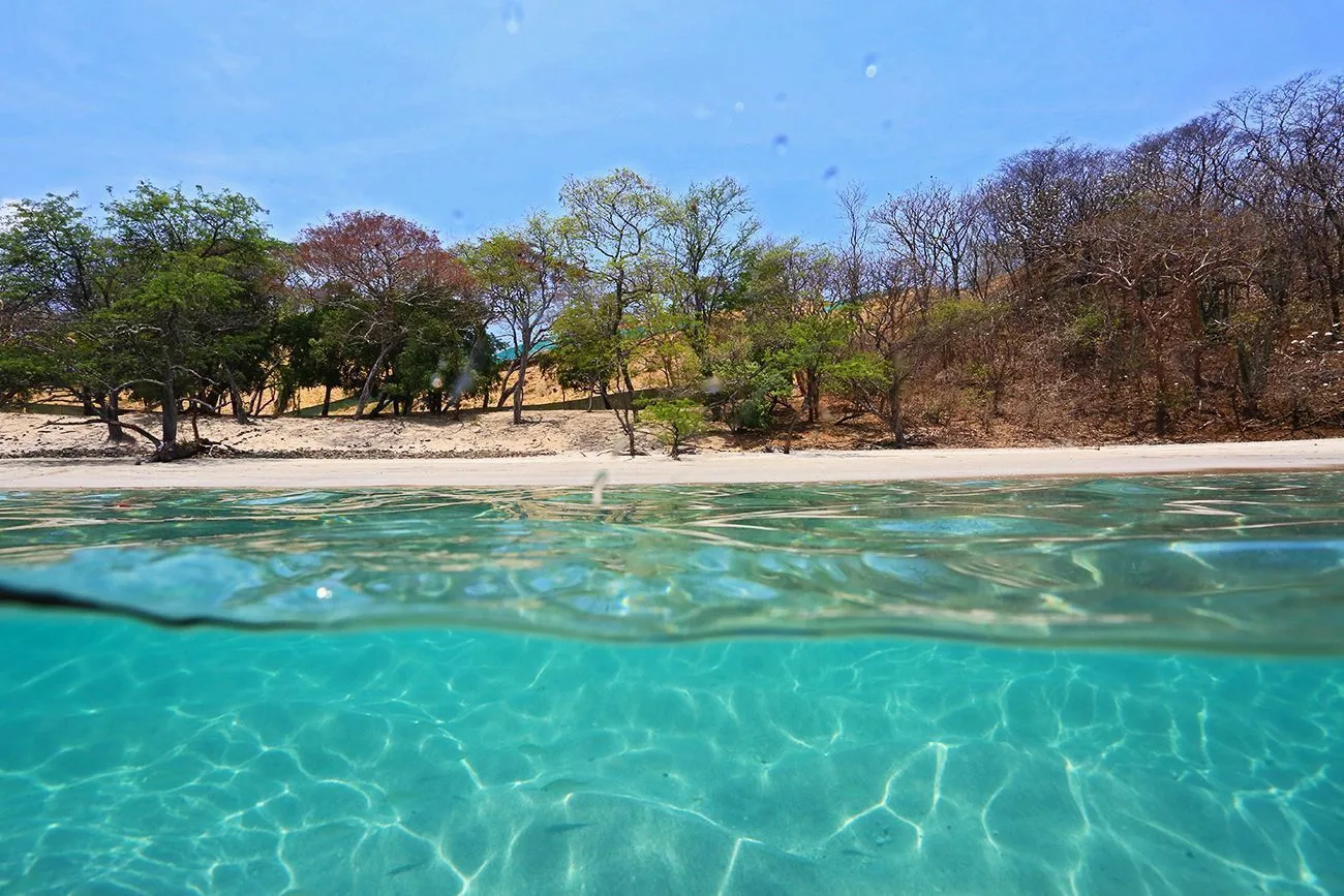 Playa Penca 10 Min Drive