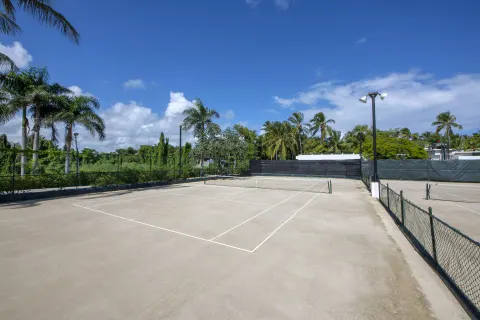 Outdoor tennis court with nets, fencing, palms, and blue sky at Occidental Punta Cana.