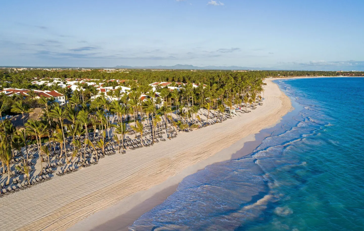 Aerial view of palm-lined beach and blue ocean at Occidental Punta Cana.