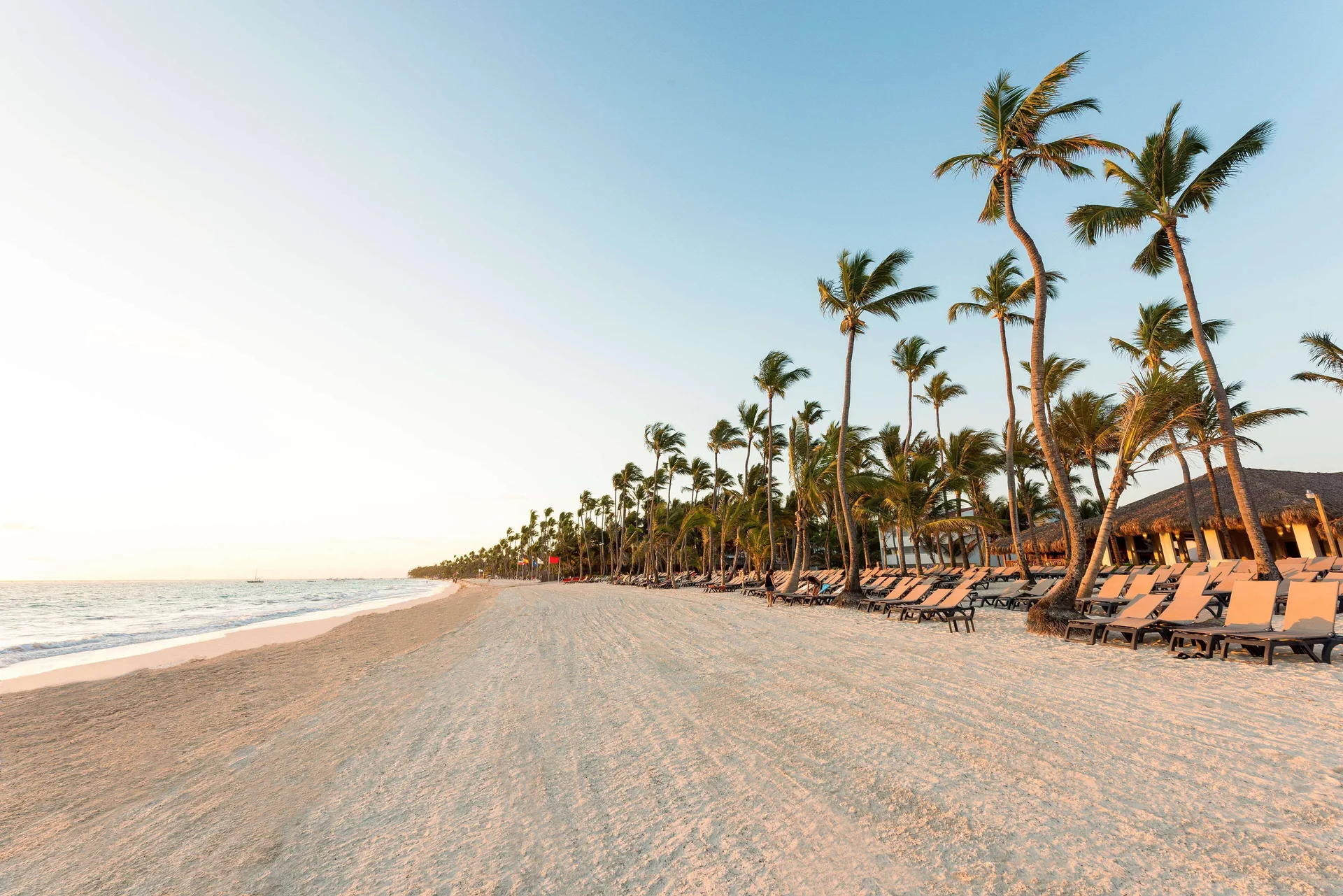 Palm-lined beach with lounge chairs at Occidental Punta Cana.