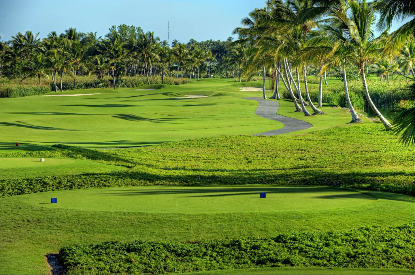 Palm-lined golf fairway beside Occidental Punta Cana with tee markers, cart path, and sand bunkers.