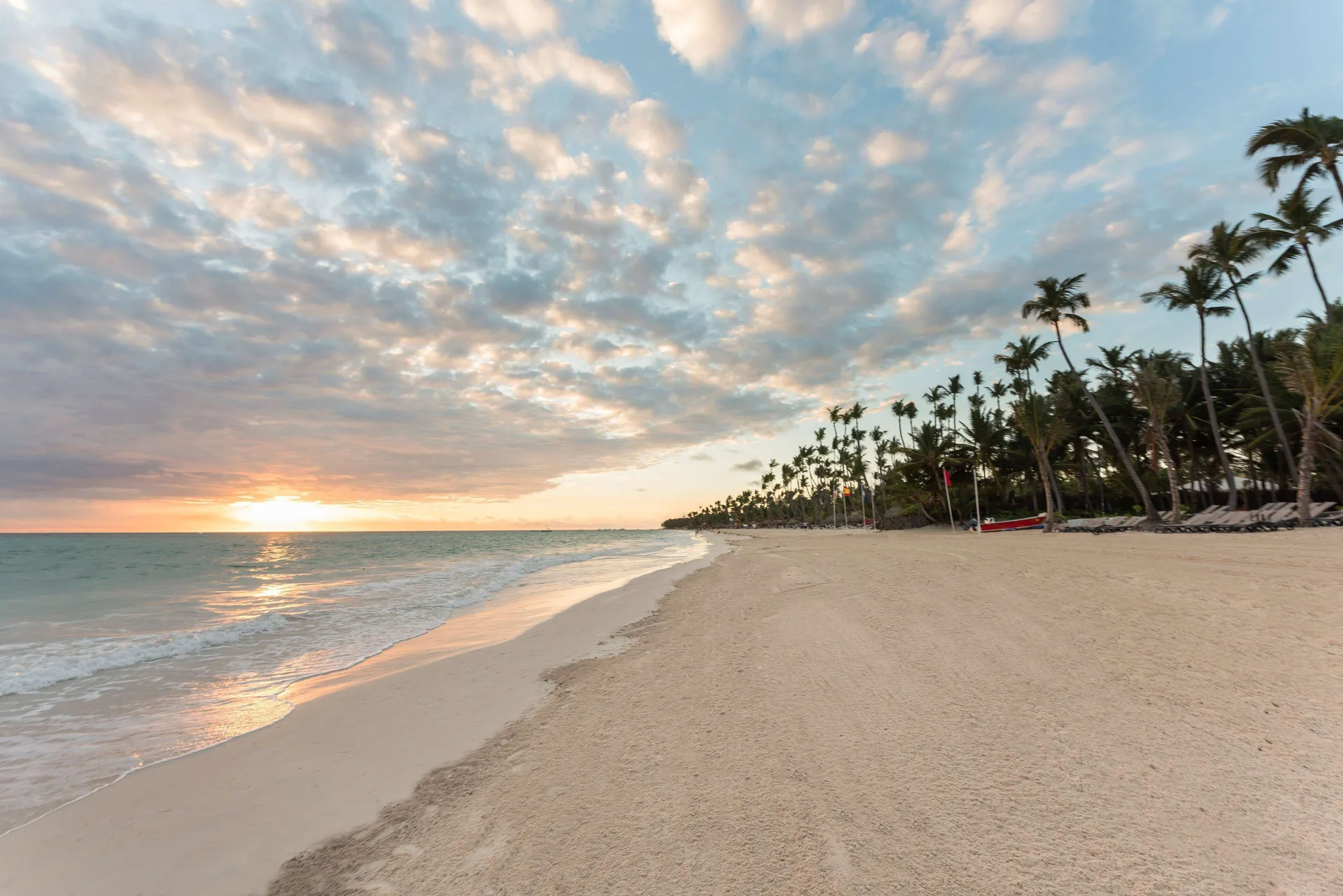 Sunset beach scene with waves, clouds, and palms at Occidental Punta Cana.