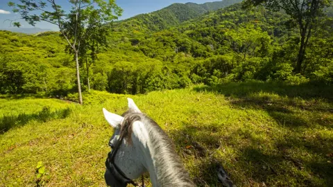Black Stallion Eco Park 15 Min Drive