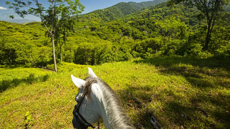 Black Stallion Eco Park 15 Min Drive
