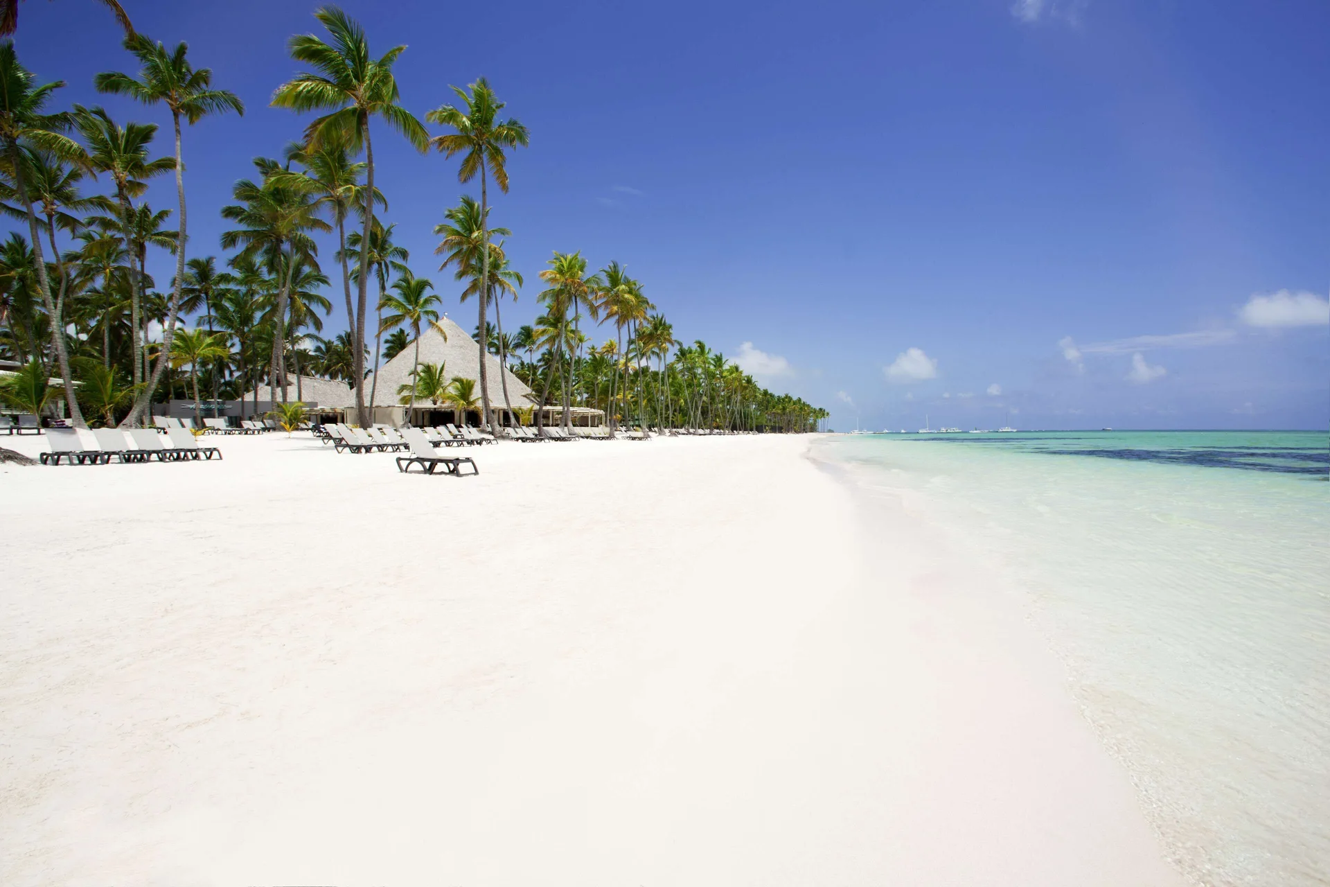 Barceló Bávaro Beach all-inclusive resort in Punta Cana with expansive pools, beachfront access, and tropical gardens.