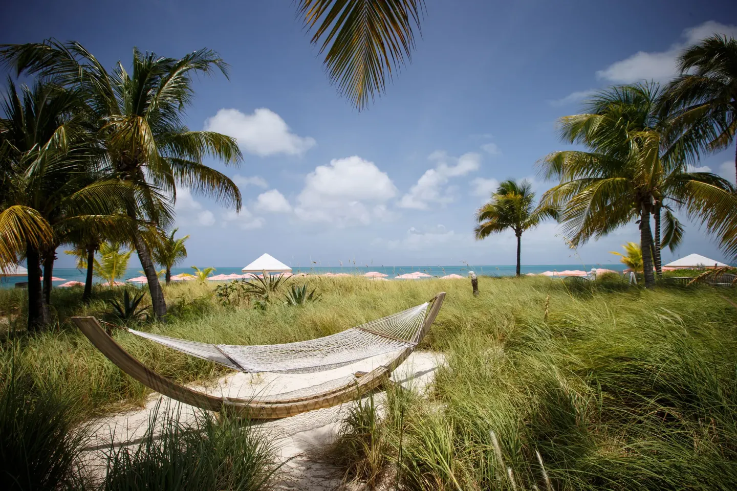 A hammock sits among palms and beach grass at Ocean Club West, Grace Bay Beach.