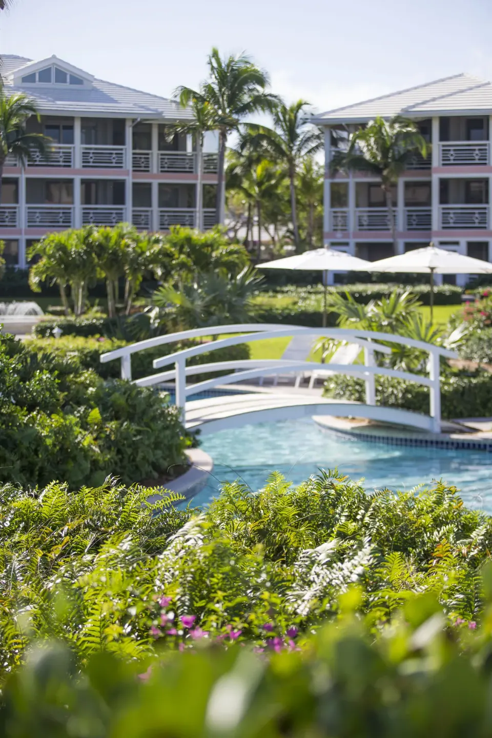 White footbridge over the pool amid lush gardens at Ocean Club West, Grace Bay Beach.