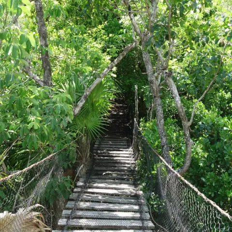 Dr Alfredo Barrera Marin Botanical Garden Jardin Botanico Yaax Che 10 Min Drive