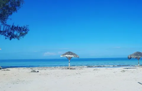 Burwood Beach 5 Min Drive