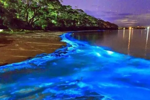 Luminous Lagoon 10 Min Drive