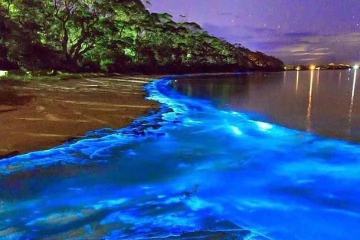 Luminous Lagoon 10 Min Drive