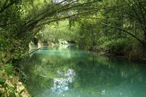 Martha Brae River 10 Min Drive