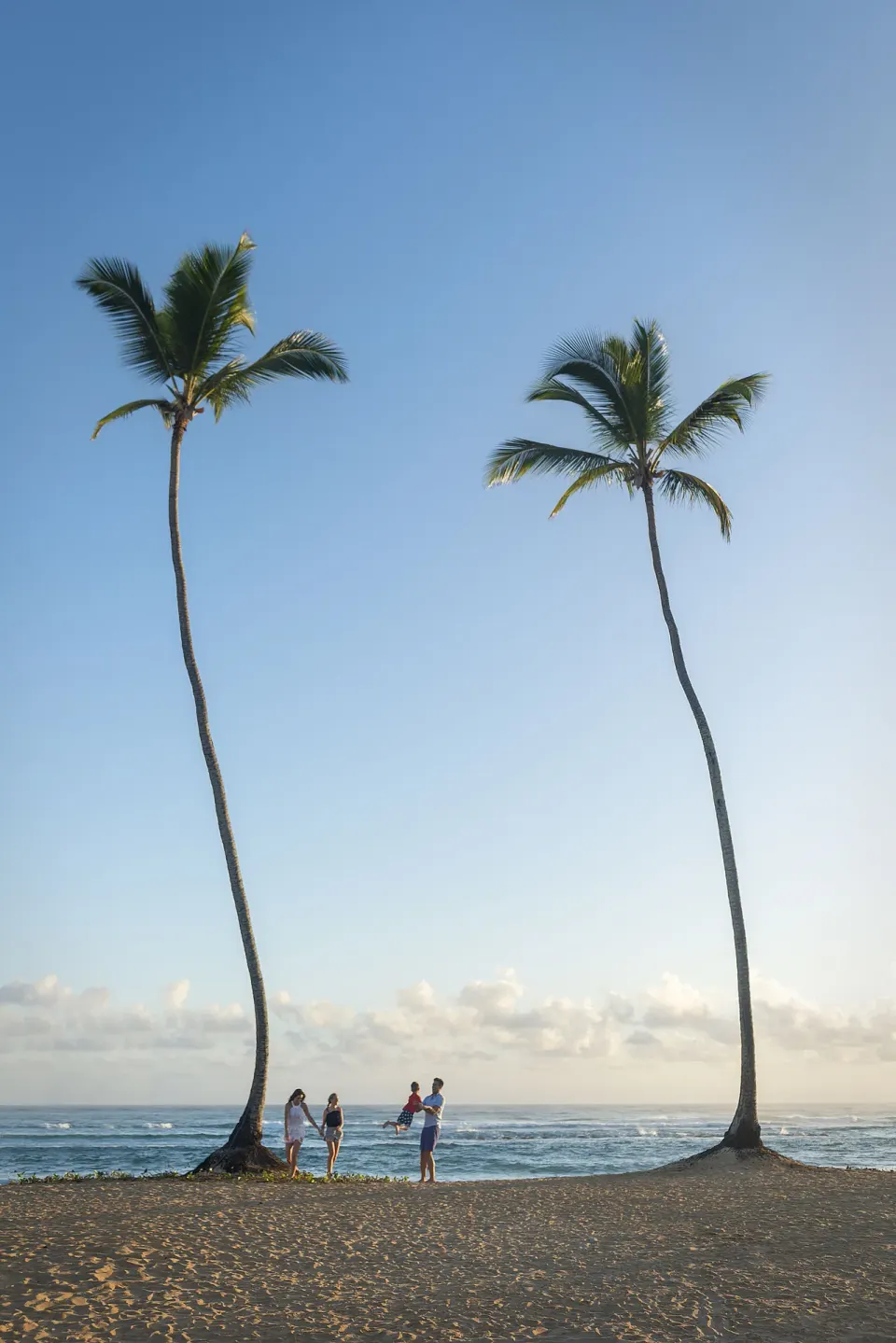 Family standing between two tall palm trees on the beach at Ocean El Faro Resort.