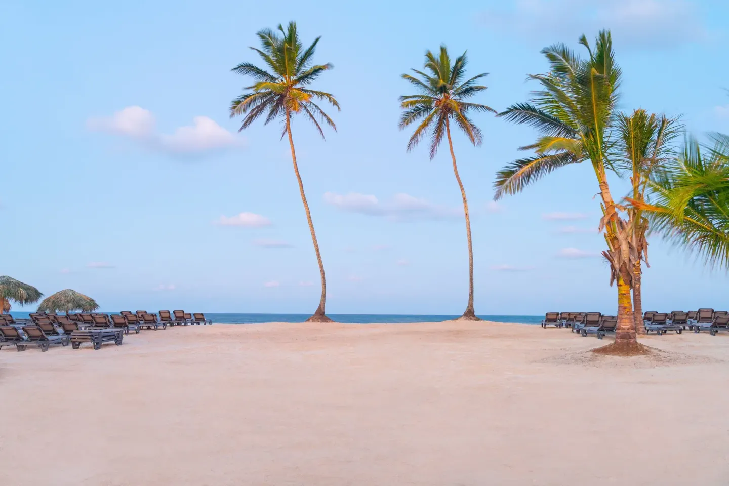Palm trees, lounge chairs, and sandy beachfront at Ocean El Faro Resort.