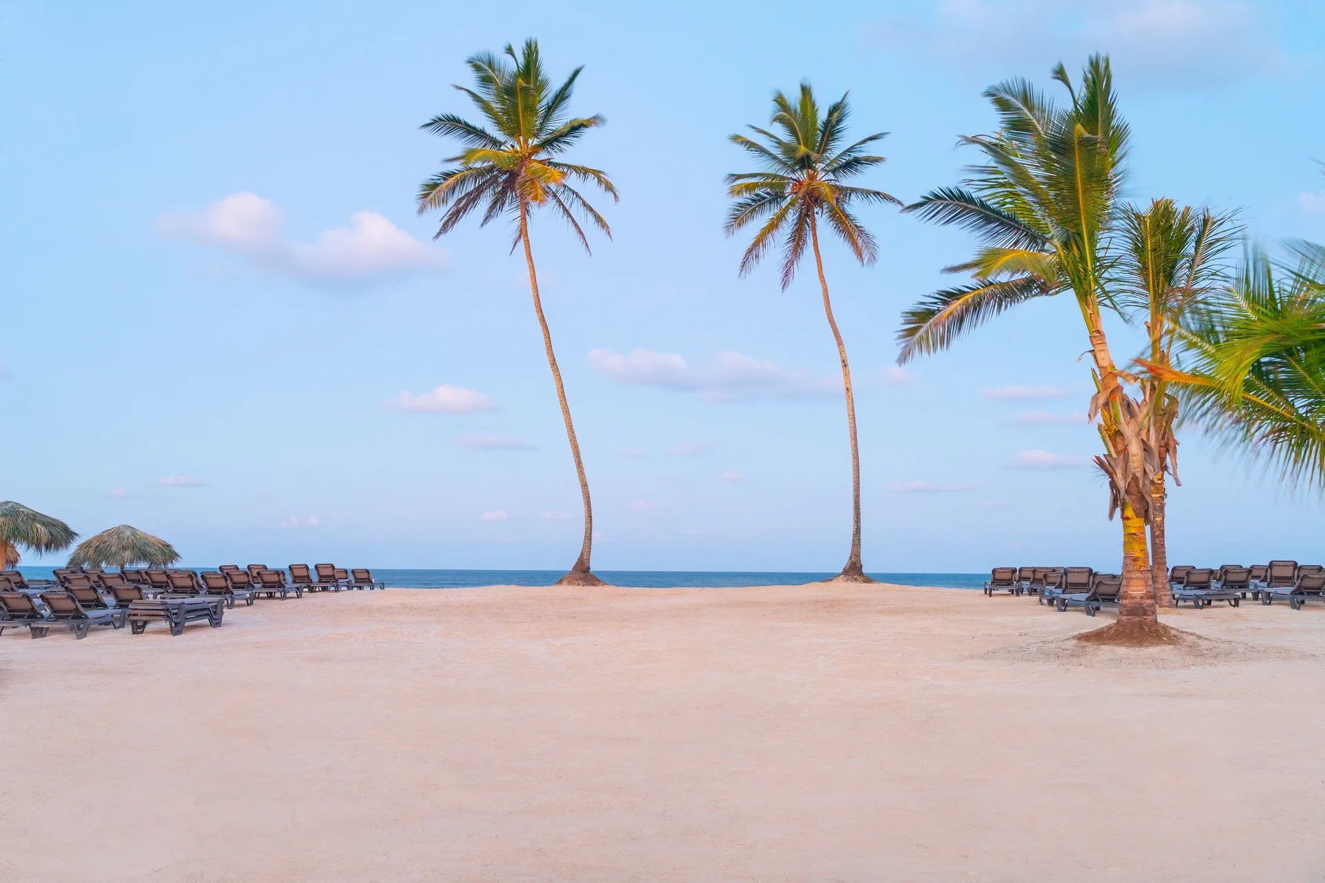 Palm trees, lounge chairs, and sandy beachfront at Ocean El Faro Resort.
