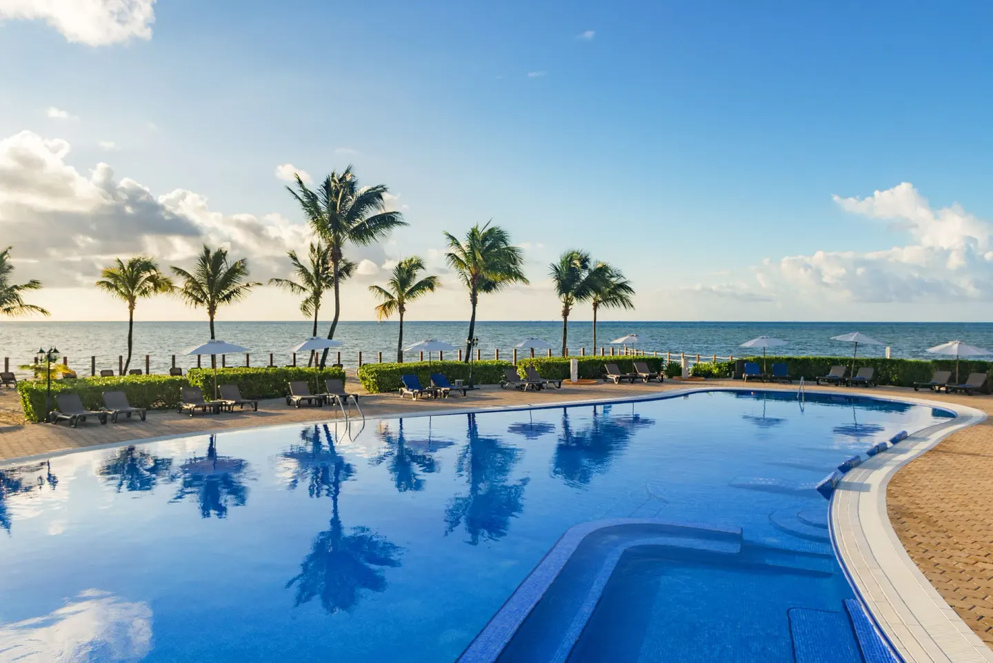 Oceanfront pool with palm trees, loungers, and umbrellas at Ocean Maya Royale.