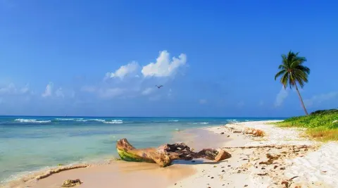 Punta Esmeralda Beach 5 Min Drive