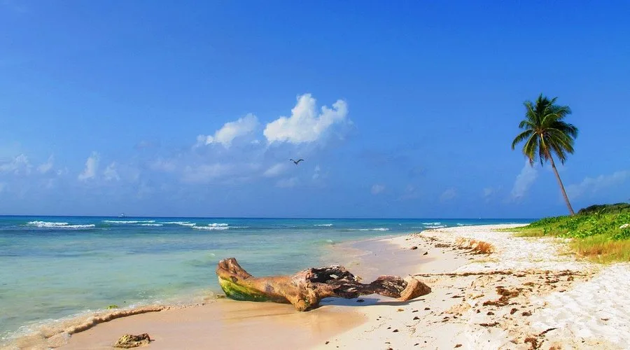 Punta Esmeralda Beach 5 Min Drive