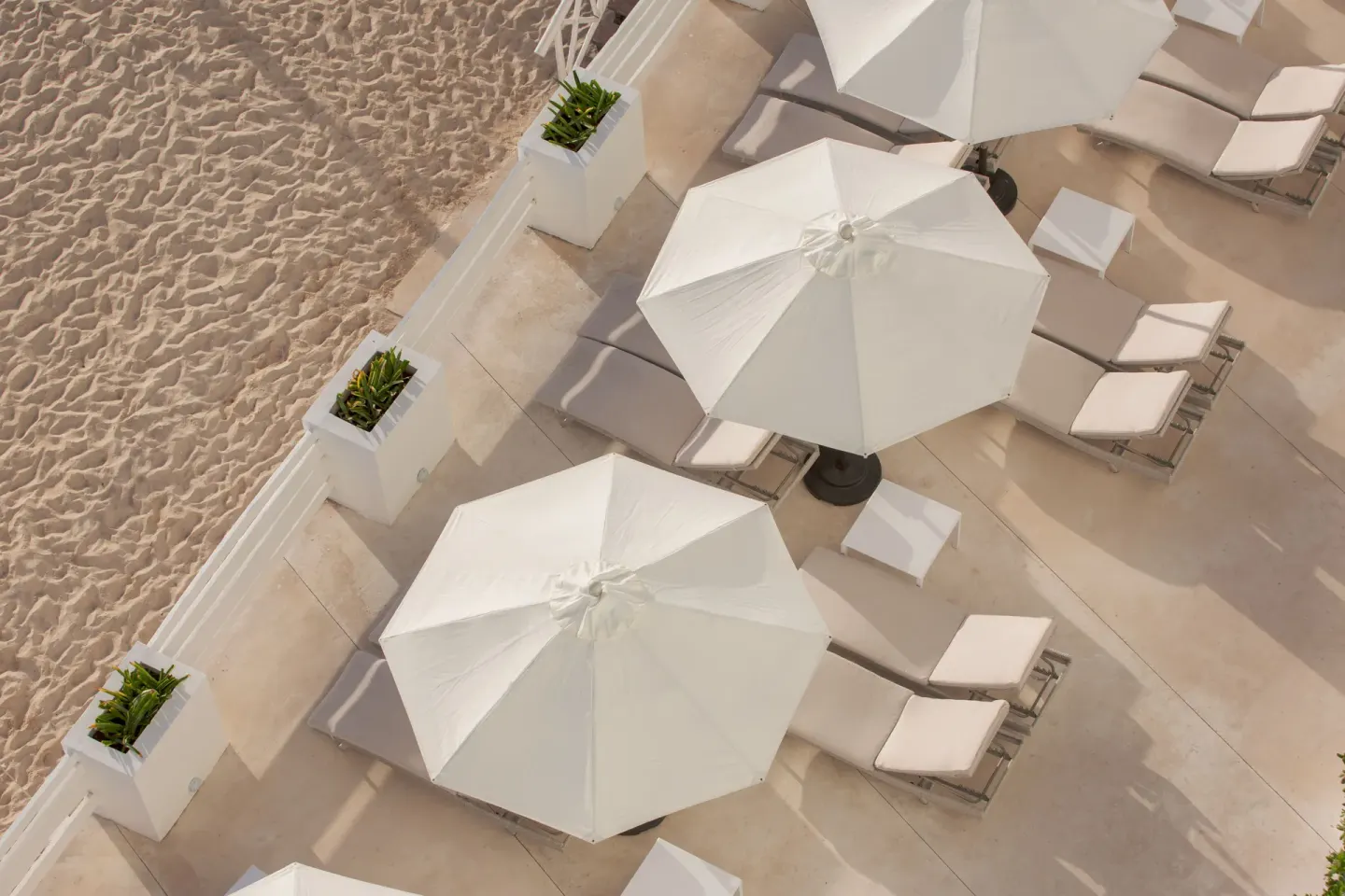 Beach terrace loungers and white umbrellas at Oleo Cancun Playa Resort.
