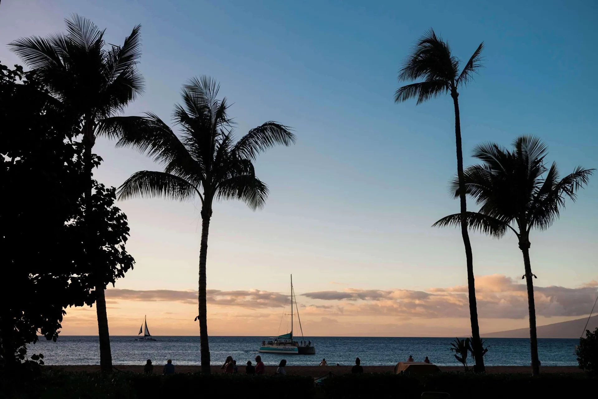 Palm silhouettes and sailboats at sunset by Outrigger Kaanapali Beach Resort.