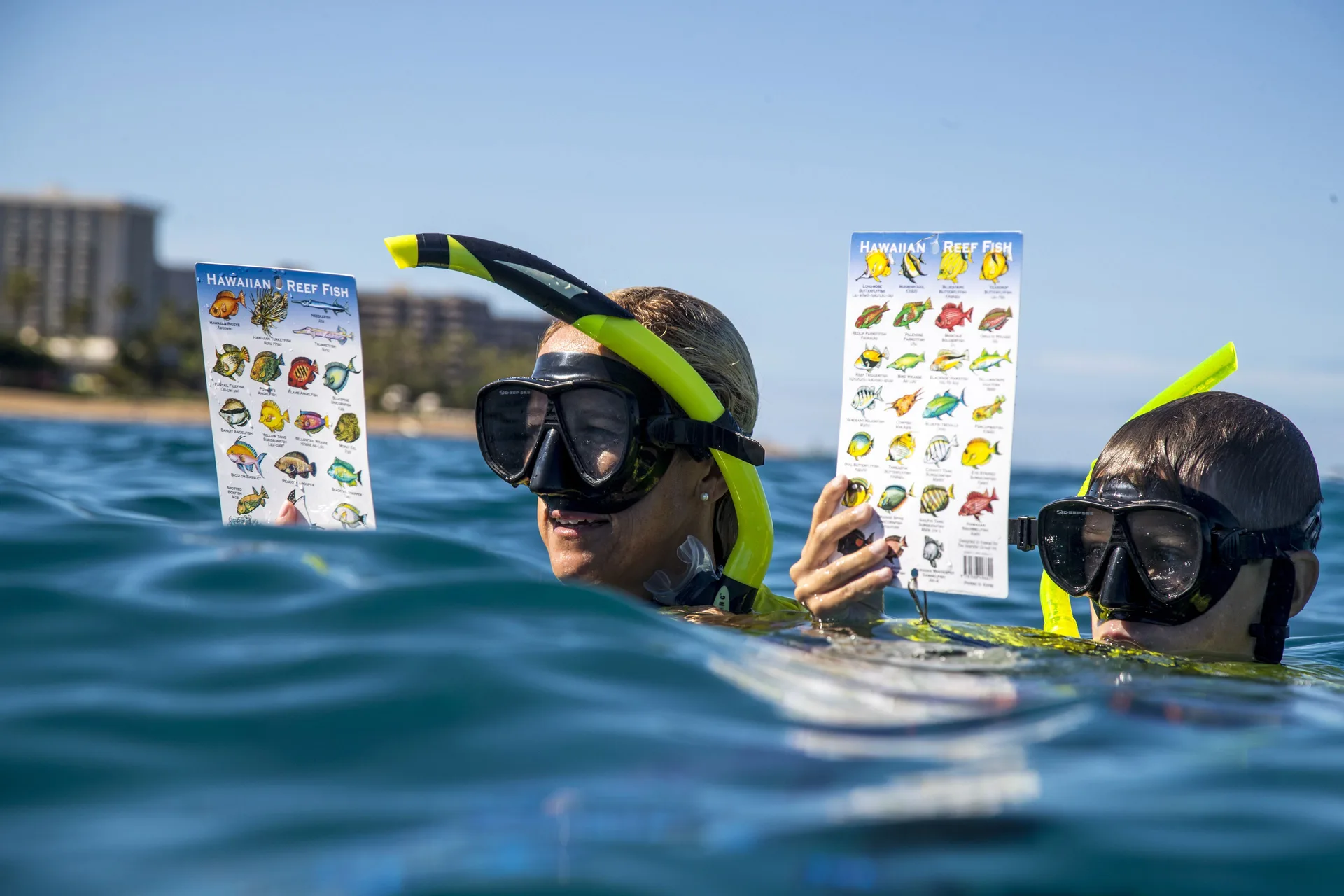 Snorkelers holding reef fish guides in the ocean by Outrigger Kaanapali Beach Resort.