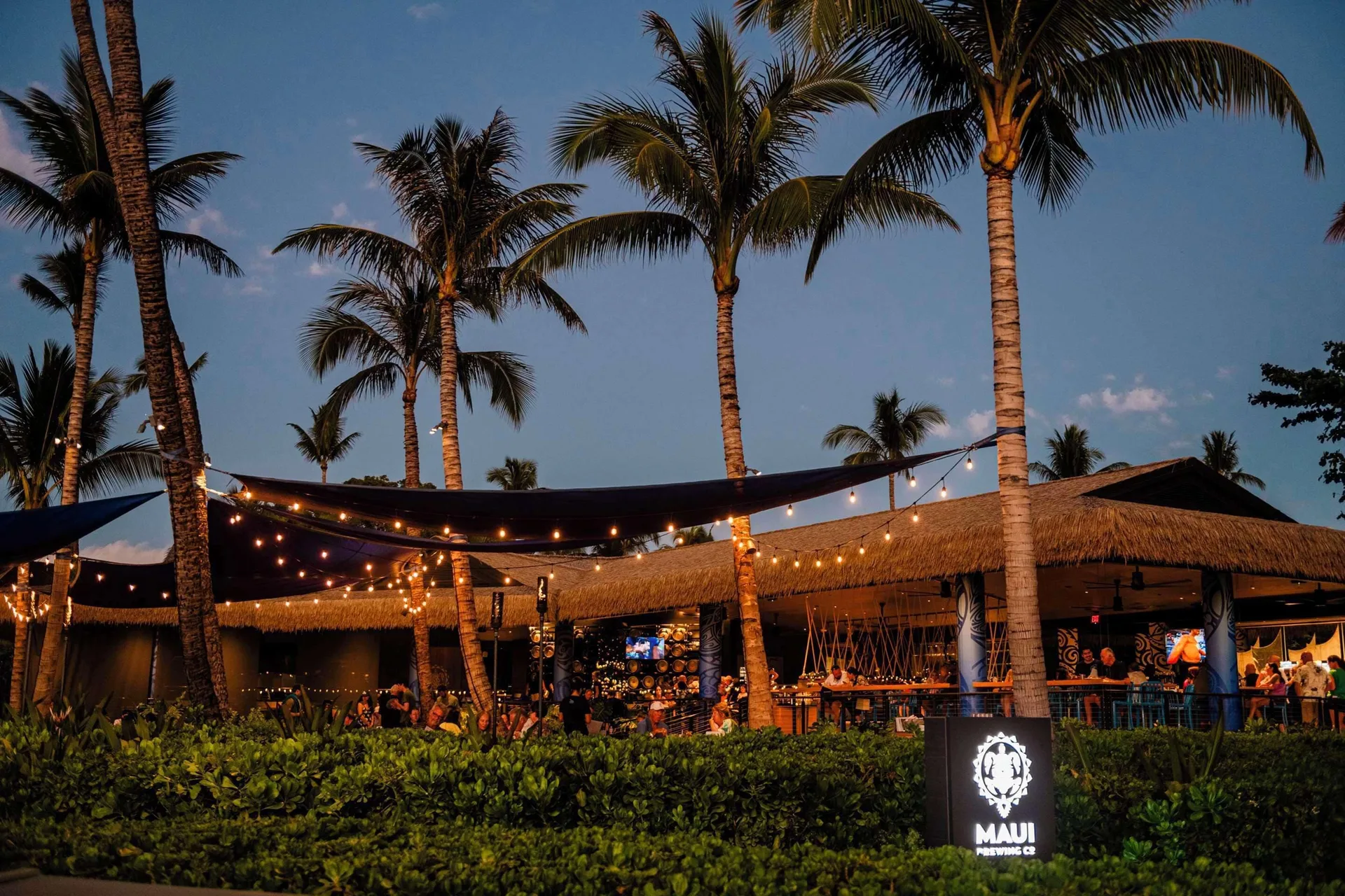 Maui Brewing Co. glows under palm trees at Outrigger Kaanapali Beach Resort.
