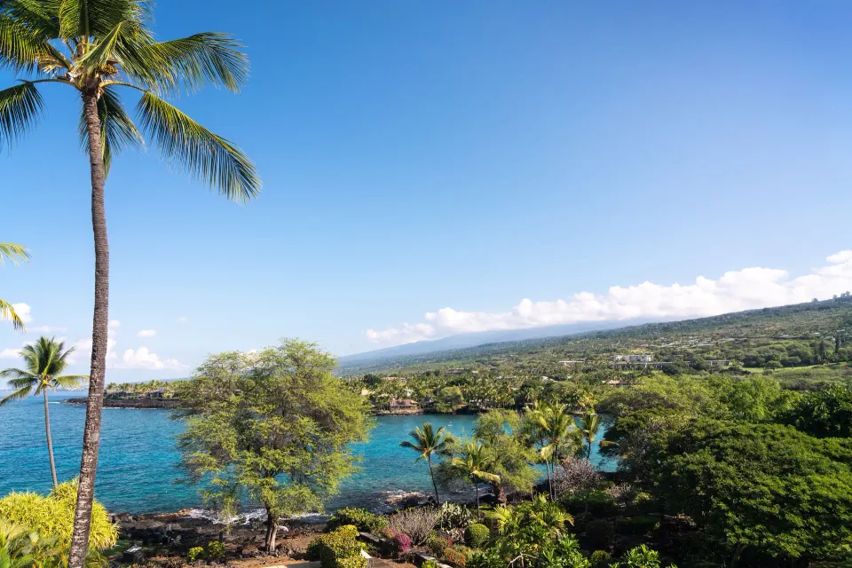 Ocean view with palms and coastline from a room at Outrigger Kona Resort and Spa.