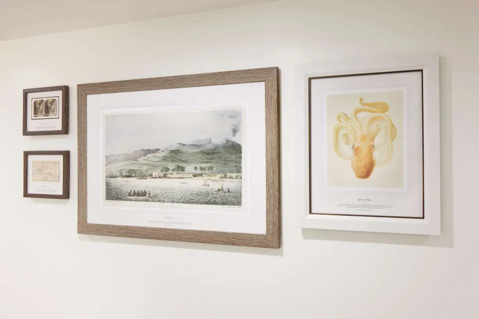Framed coastal and marine artwork at OUTRIGGER Reef Waikiki Beach Resort.